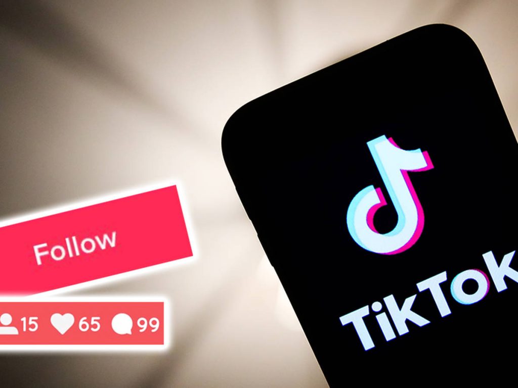 Tiktok growth plan