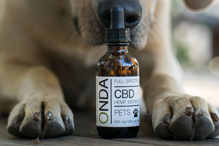 pet CBD