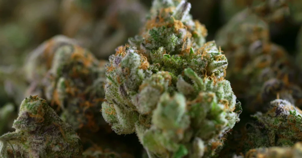 Weed Thailand